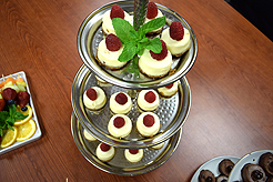 NUANCE INTERIOR DESIGN SHOWROOM LAUNCH